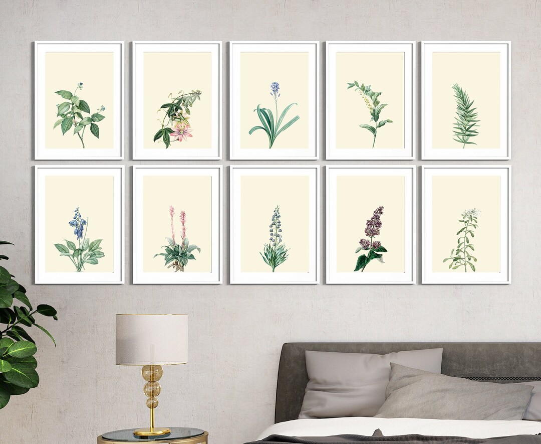 Vintage Botanical Prints Gallery Wall Set of 10 Floral - Etsy