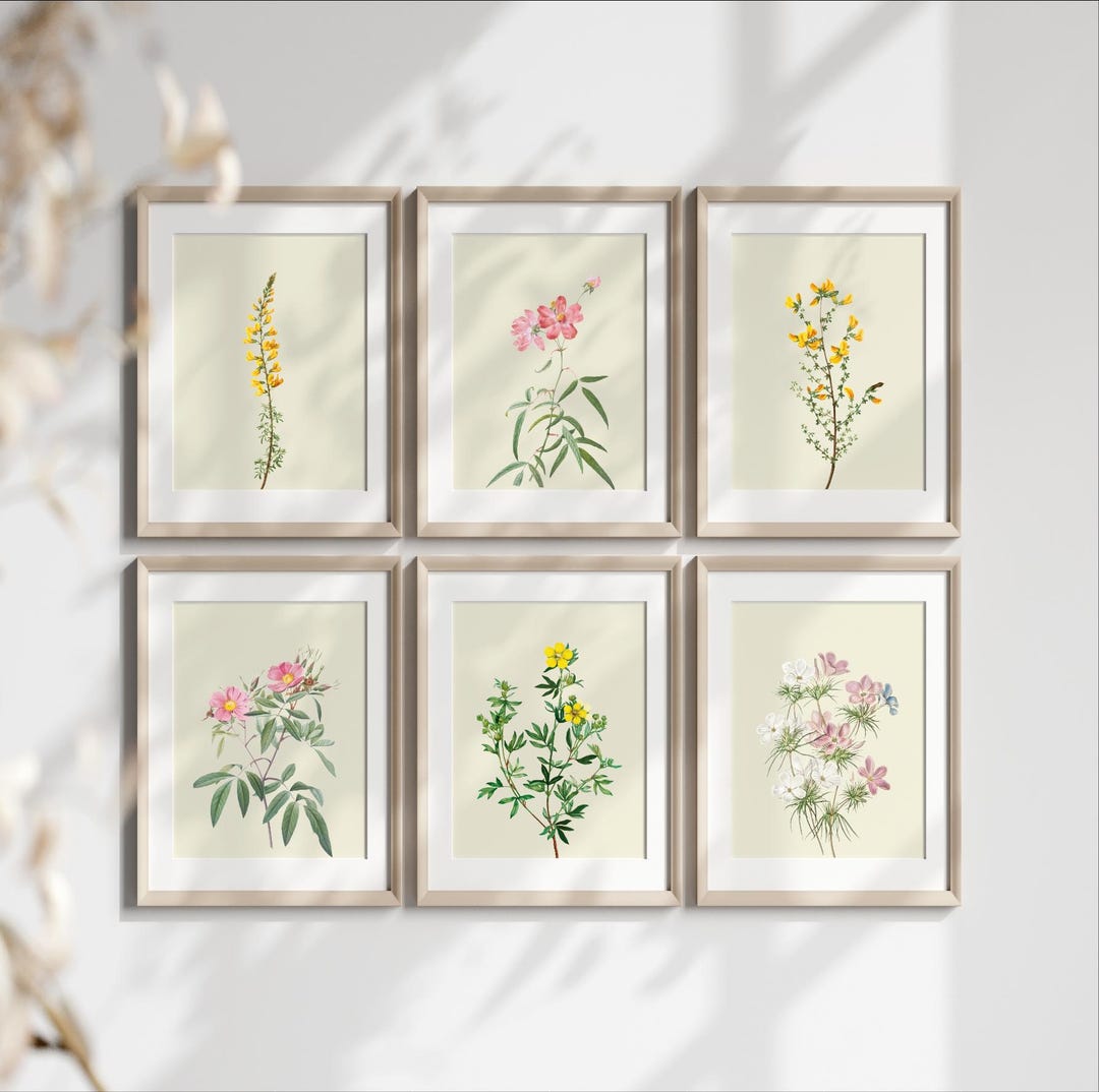 Vintage Botanical Prints Gallery Wall Set of 6, Floral Poster ...