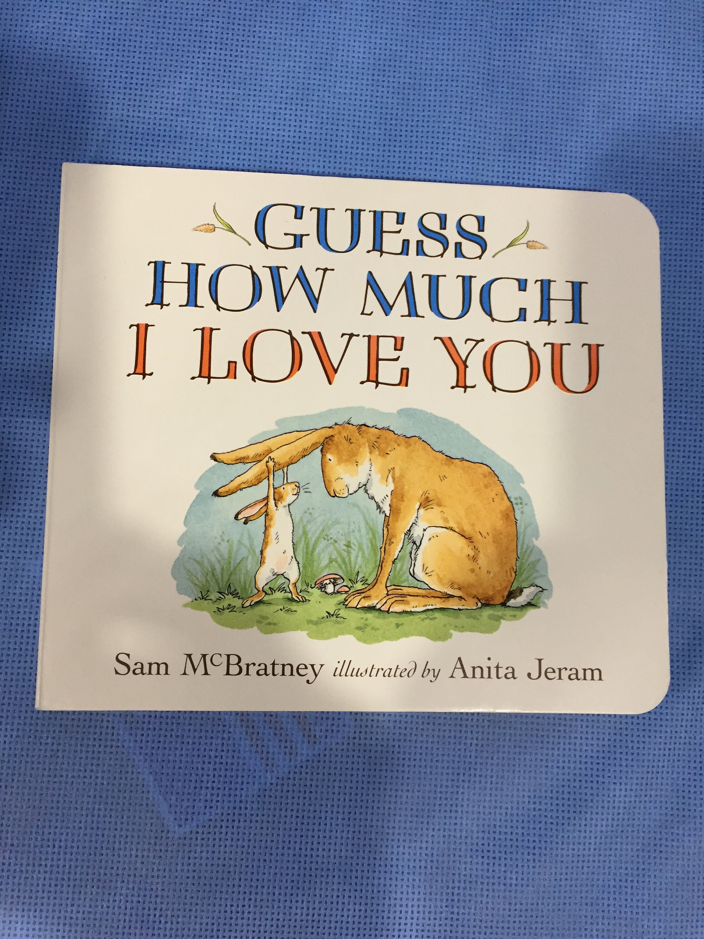 Guess How Much I Love You Rabbit Teether Activity Toy & Matching Board