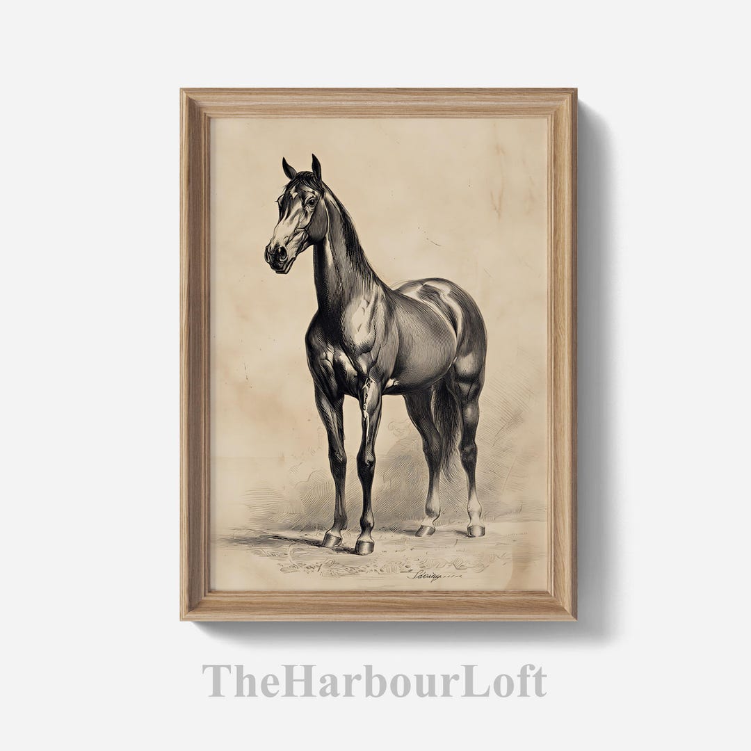 Rustic Pony Print at Home Pony Wall Art, Rustic Horse Portrait Country Decor ...