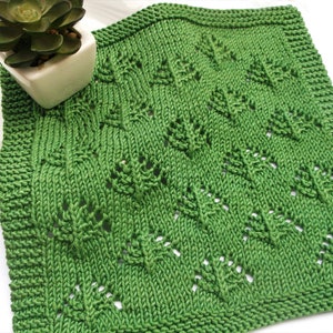 KNITTING PATTERN dishcloth Issa - face cloth knitting - instant PDF pattern