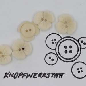 May include: Five white flower-shaped buttons with two holes each. The buttons are arranged in a semi-circle. A drawing of a button with four holes is in the background. The text "KNOFFWERKSTATT" is written below the buttons.