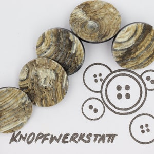 5 horn buttons 20 or 23 mm, buttons, traditional buttons, jacket buttons, special buttons, shank buttons, horn buttons, natural material, brown-beige