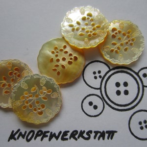 May include: Five yellow mother-of-pearl buttons with a floral design. The buttons have a scalloped edge and are arranged in a semi-circle. The text "KNOPFWERKSTATT" is written in black below the buttons.