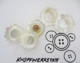 5 mother-of-pearl buttons 12 or 23 mm, button, traditional buttons, buttons, sewing button, mother of pearl, mother-of-pearl buttons, natural material, jacket button