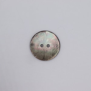 May include: A round, iridescent, mother-of-pearl button with a floral design and two holes.