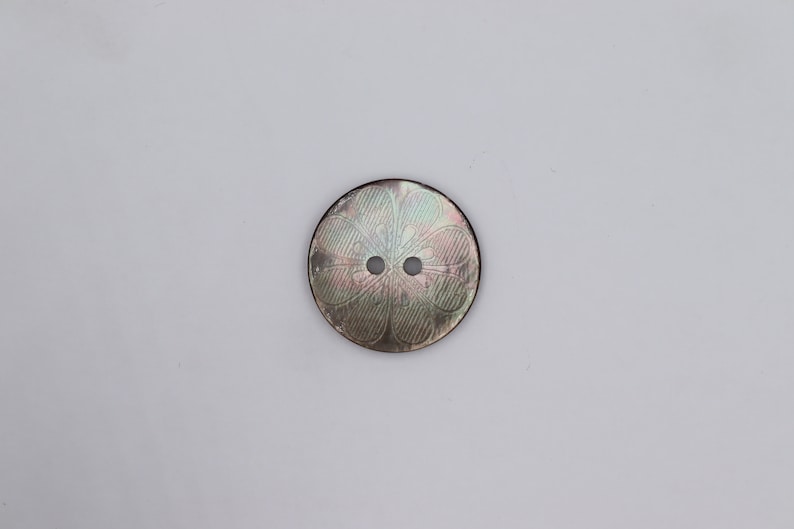 May include: A round, iridescent, mother-of-pearl button with a floral design and two holes.
