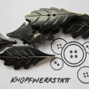 5 Hornknöpfe 48 x 23mm ,Button, Trachtenknöpfe, besondere Knöpfe in Blattform, 2 Loch Knopf, horn button, Blattmotiv, Naturmaterial, braun