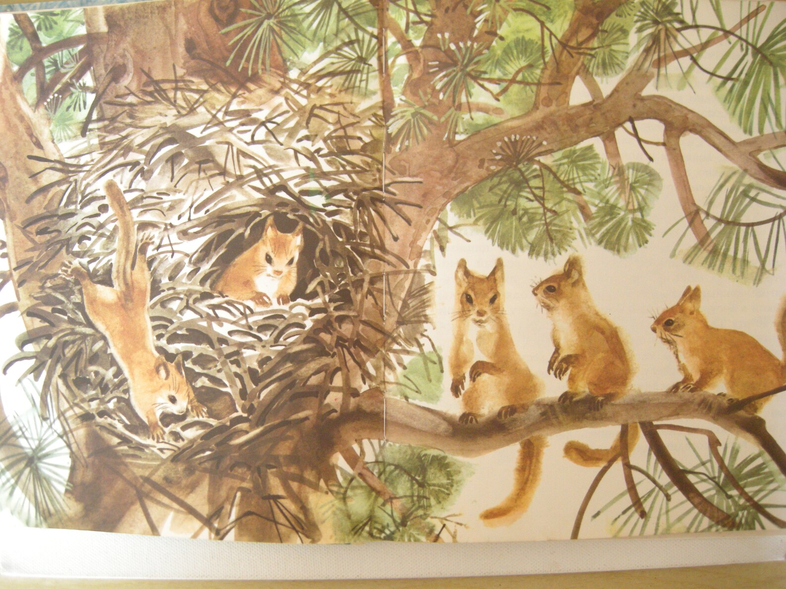 Vintage animal book In Forest by Sokolov Mikitov Childrens Etsy