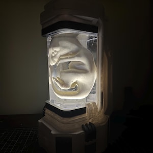 May include: A white, futuristic-looking display case with a clear, rectangular tank containing a white, fetal-like sculpture. The case has a rectangular base and top, with a dark accent band. The sculpture is illuminated from within.