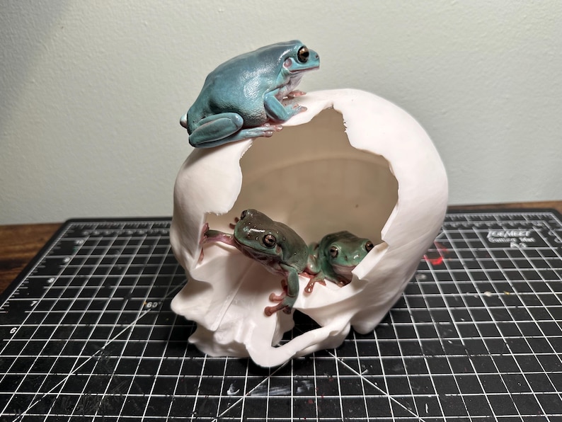 The Frogio - Hollow Skull - 3d Printed - Frog Hide - Etsy