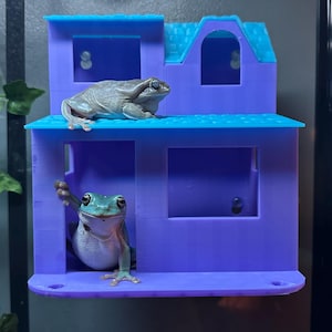 May include: A purple and blue plastic frog house with two frogs inside. The house has a roof with a small window and a larger window on the front. The frogs are green and white.