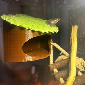 The Froggy Cabana - Frog housing