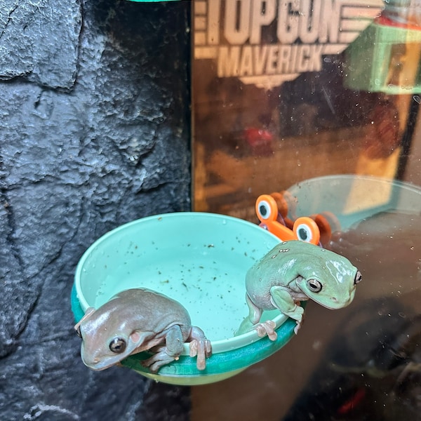 The Hoppy Pot - Frog Housing