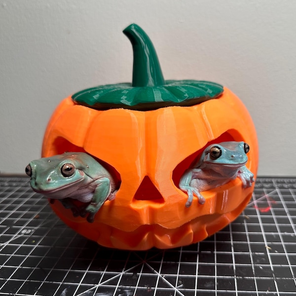 The Frogio - Halloween Jack-o-Lantern-Pet-behuizing - 3D-geprint