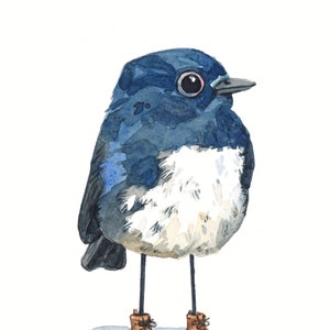 Bird in Duck Boots watercolor print
