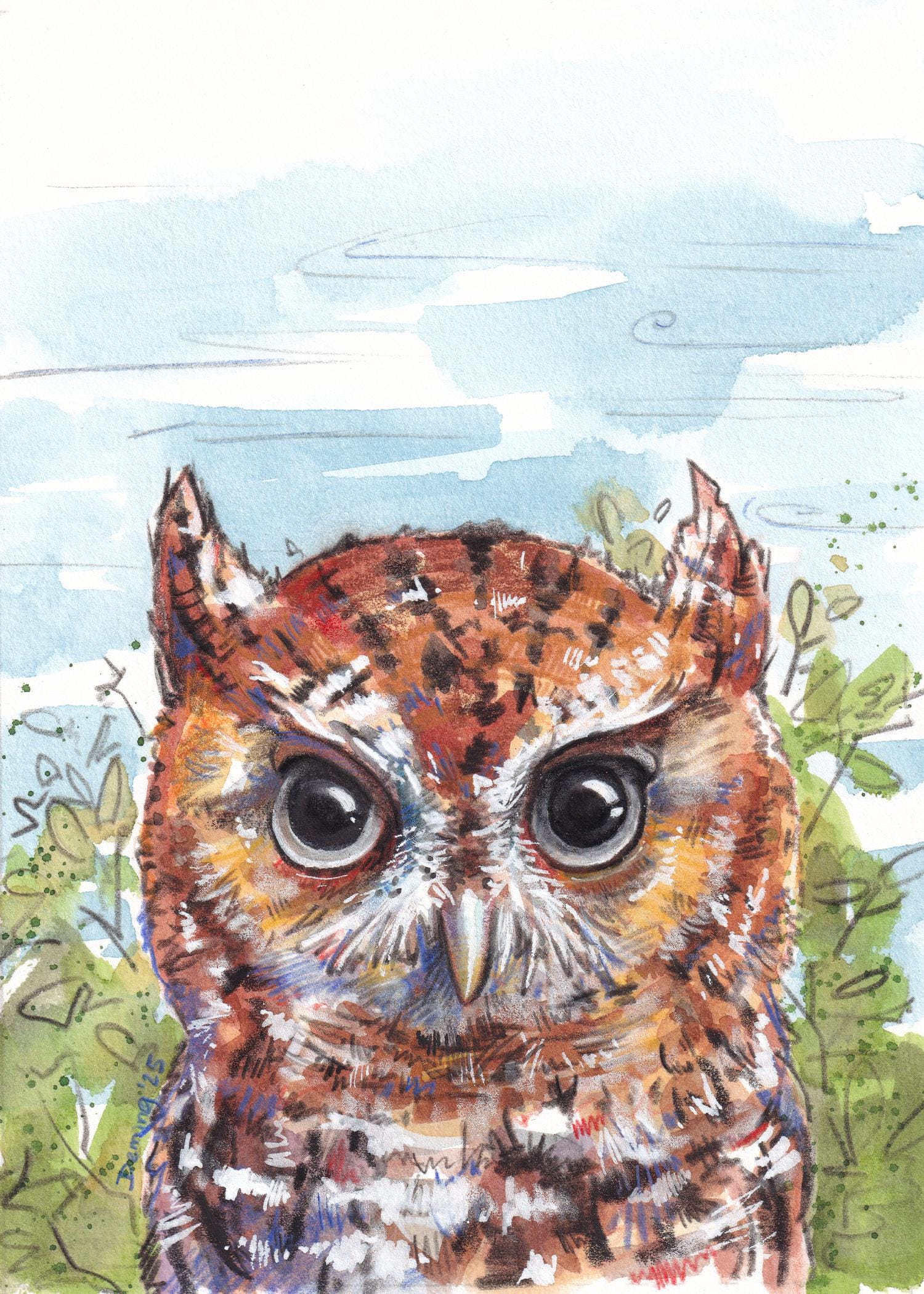 Hoot Owl Watercolor Print