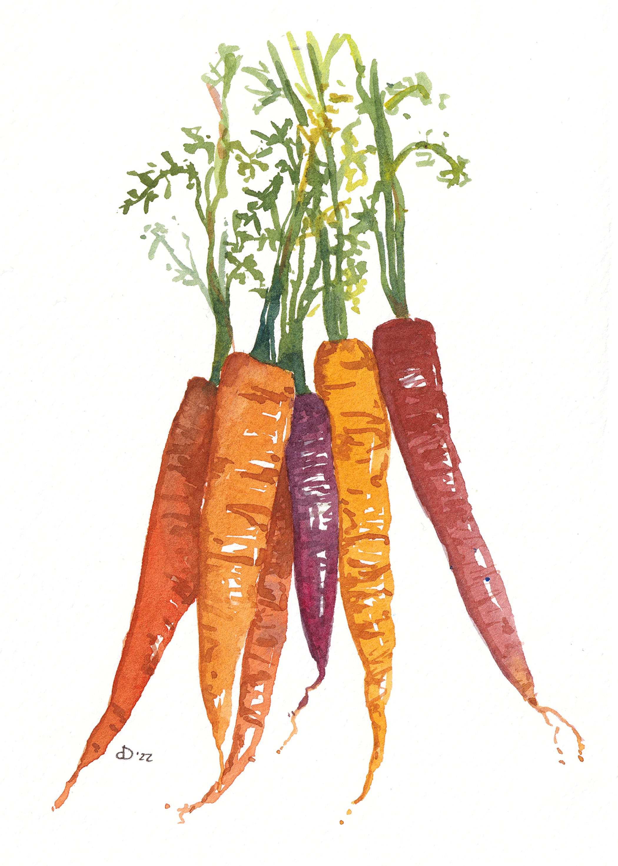 にんじんのマット水彩画、夏のキッチンの絵画、野菜アート - Etsy 日本