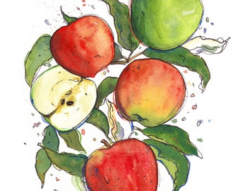 Apples Matted Watercolor Print, Summer Kitchen Painting, Fruit Art