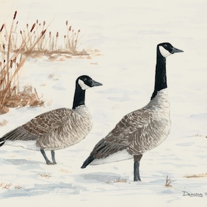 Gänse - Aquarell Druck - Winter-Szene - Kunstdruck - Aquarell - Vogel-Druck