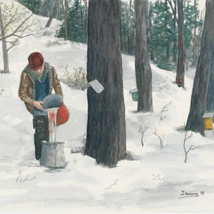 Maple Sap Harvest - Watercolor Print - Maple Syrup - Art Print - Watercolor - Cabin Art