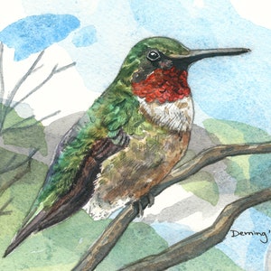 Hummingbird Watercolor Print
