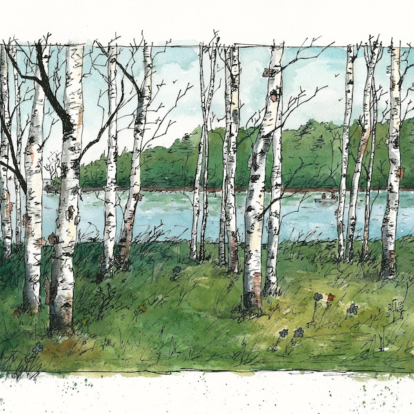 Birch Trees - Aquarelle Print - Aspen Tree - Art Print - Aquarelle - Cabin Art