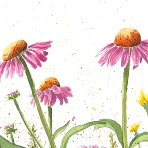 Coneflower Study Watercolor Print - Etsy