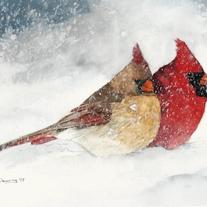 Winter Cardinals 8x10 Watercolor Print