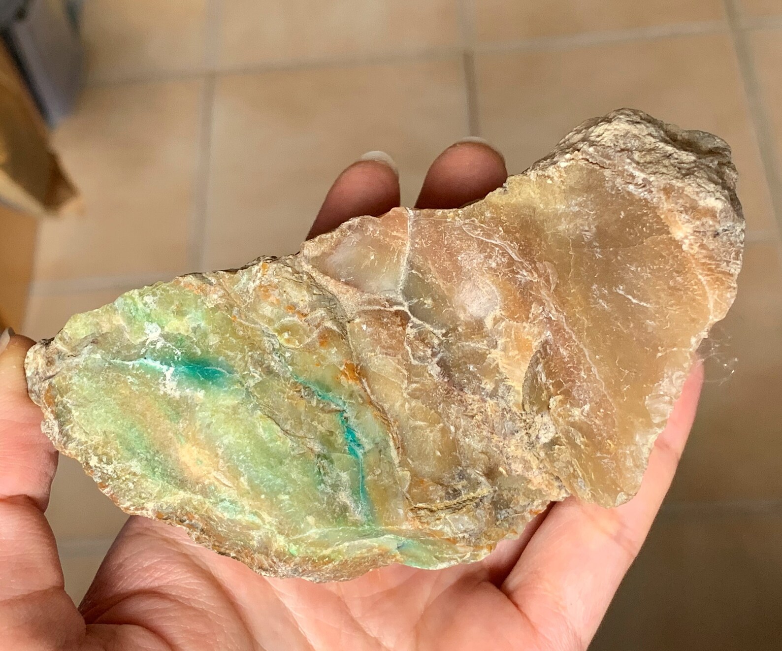 Big Raw Blue Opalized Opal Petrified Wood Native Copper Etsy