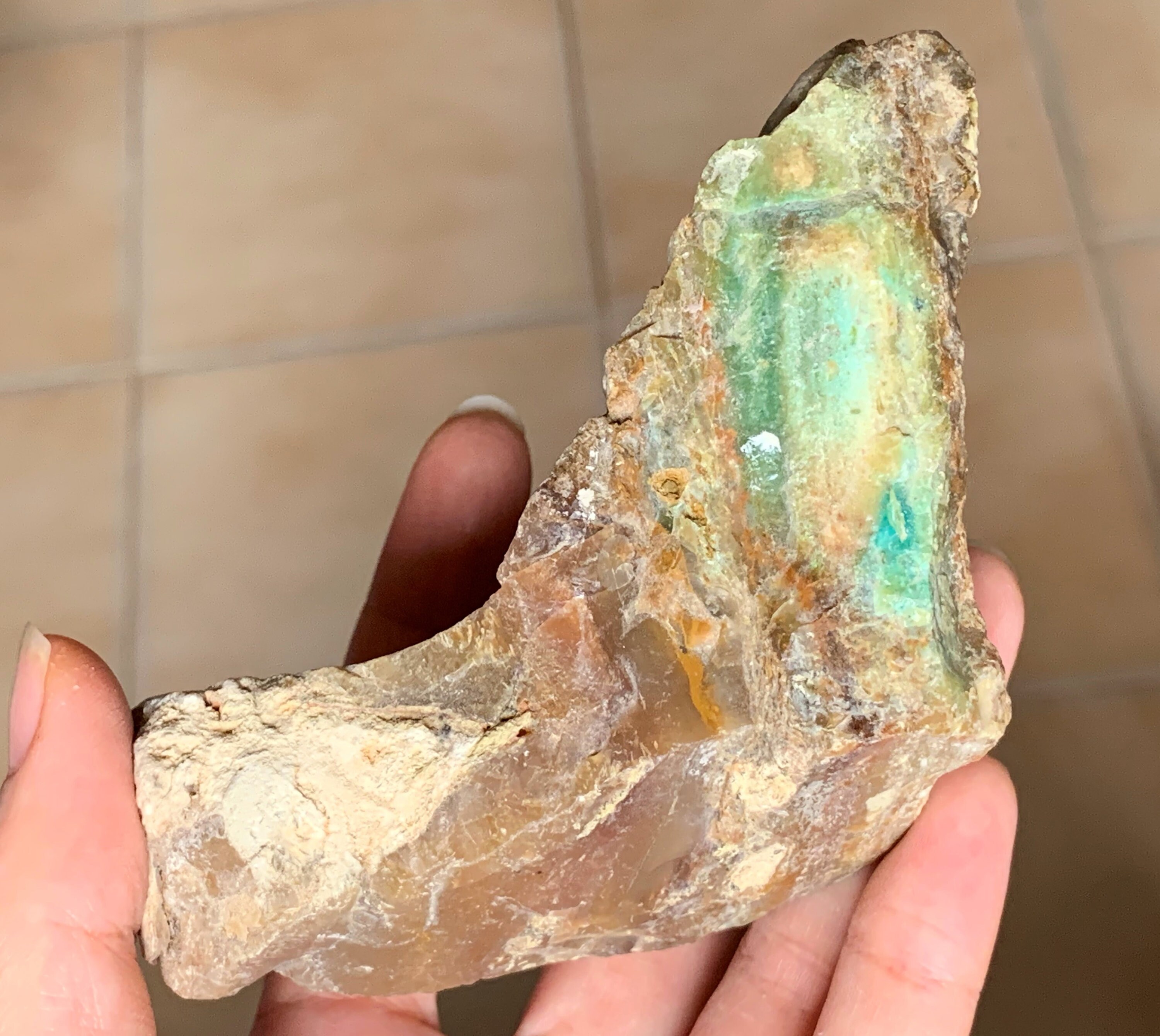 petrified wood opal petrified wood opal