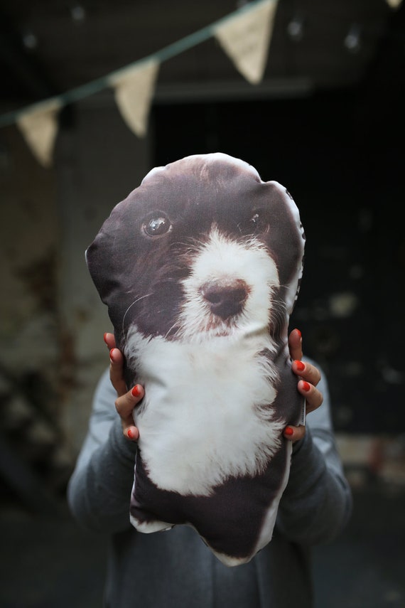 Customised Pet Photo Pillow Pet Pillow | Etsy