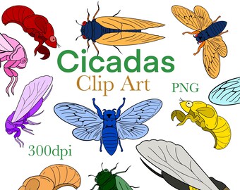 Cicadas, cicada clipart, digital download, printable, 100 Images, Commercial Use