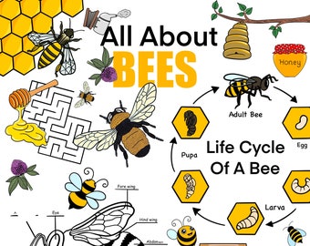 All about Bees, honey bees, clipart, maze, diagram, life cycle, printable, digital download