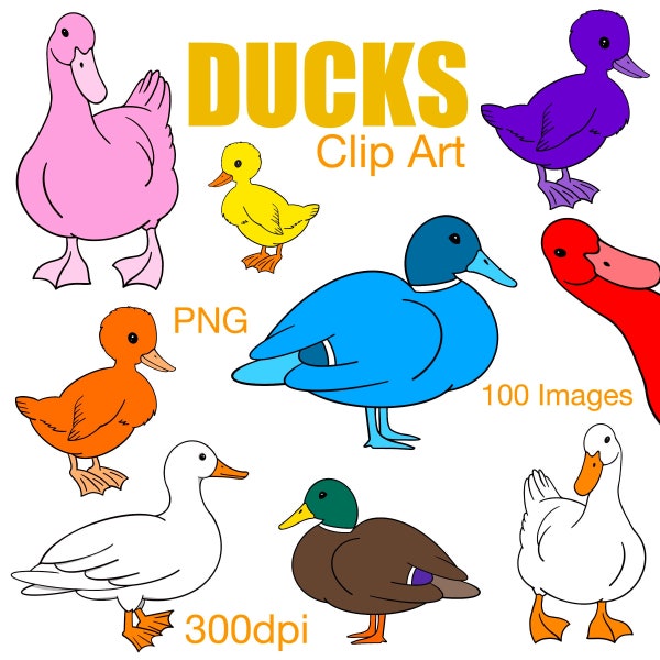 Duck clipart, ducks! 100 Images, printable, digital download water fowl
