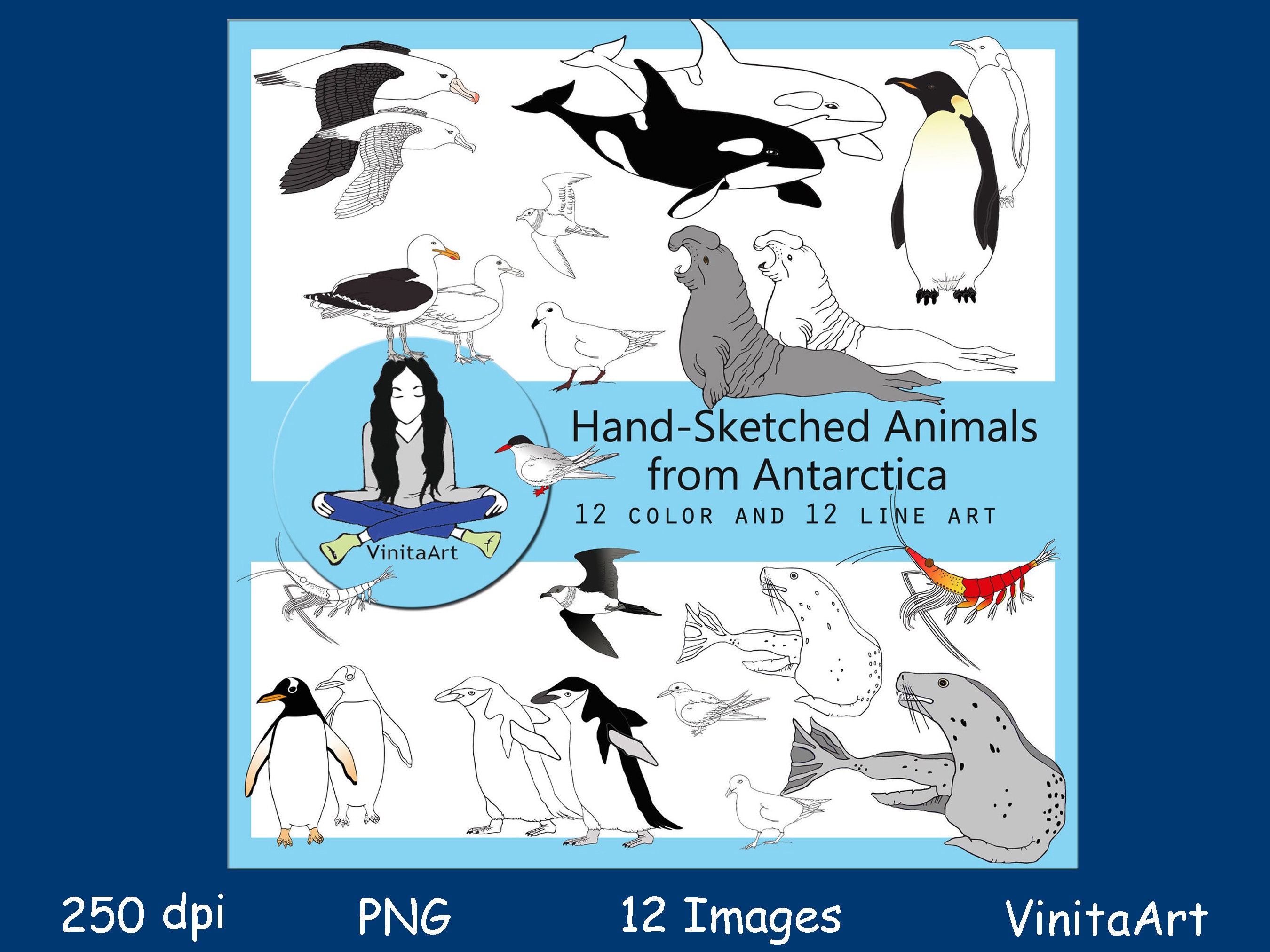 Antarctica Animals Downloadable Clip Art Orca Penguin - Etsy Norway Antarctica Animals Downloadable Clip Art Orca Penguin - Etsy Norway