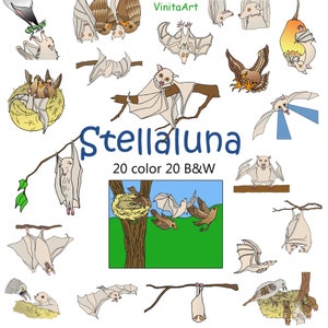 Stellaluna, story book clip art,Stella Luna digital printables, digital stamps image 2