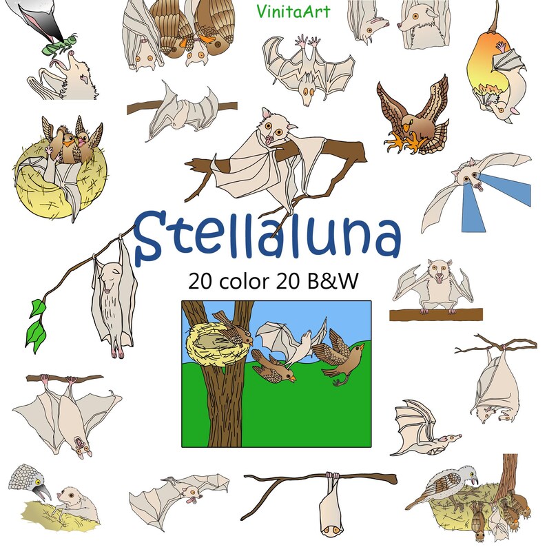 Stellaluna, story book clip art,Stella Luna digital printables, digital stamps image 2