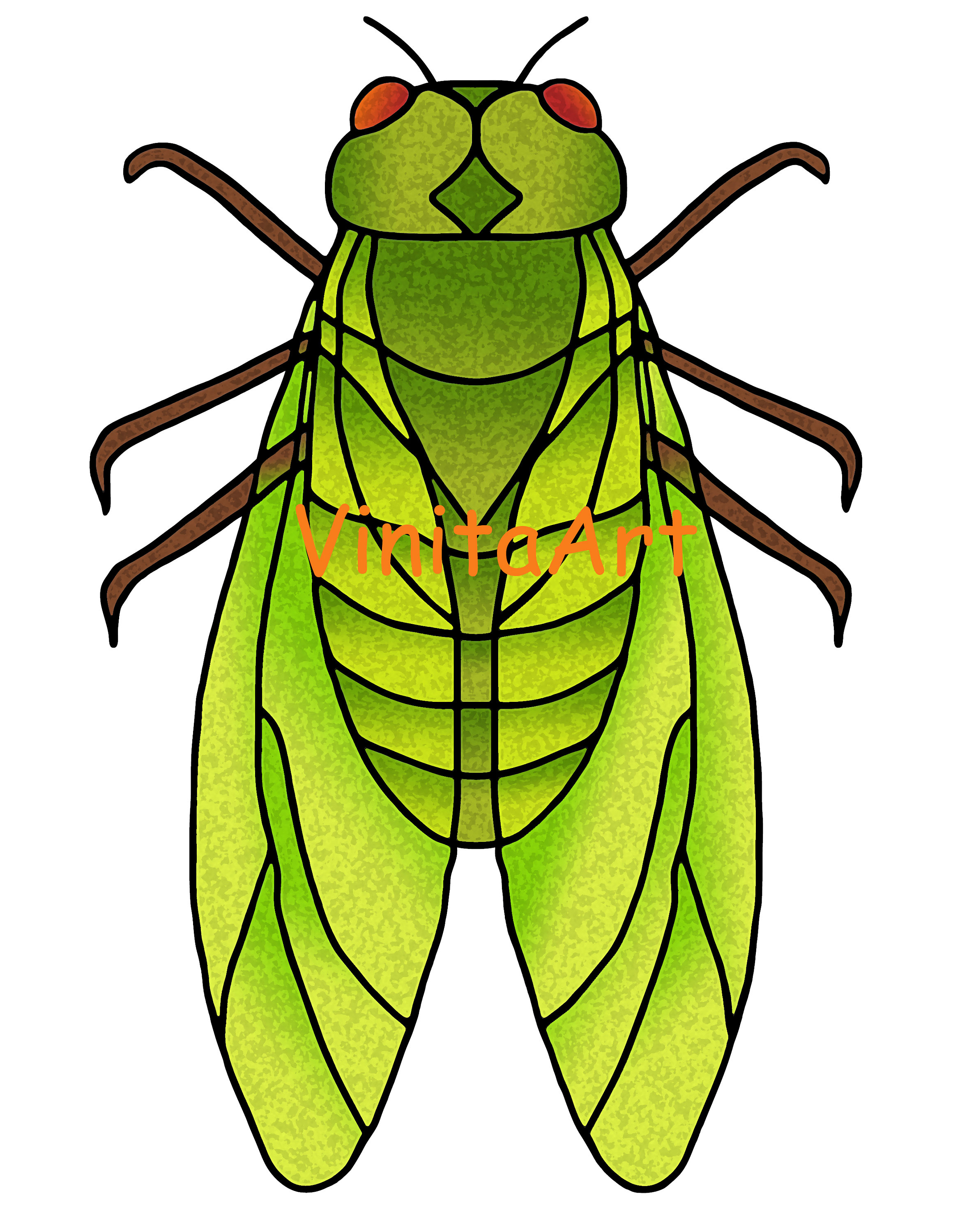 Comment Dessiner Une Cigale Facile Tout sur les cigales timbres numériques insectes - Etsy Canada