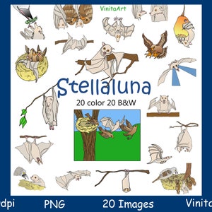 Stellaluna, story book clip art,Stella Luna digital printables, digital stamps image 1