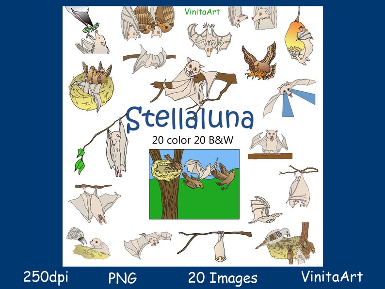 Stellaluna, story book clip art,Stella Luna digital printables, digital stamps image 1