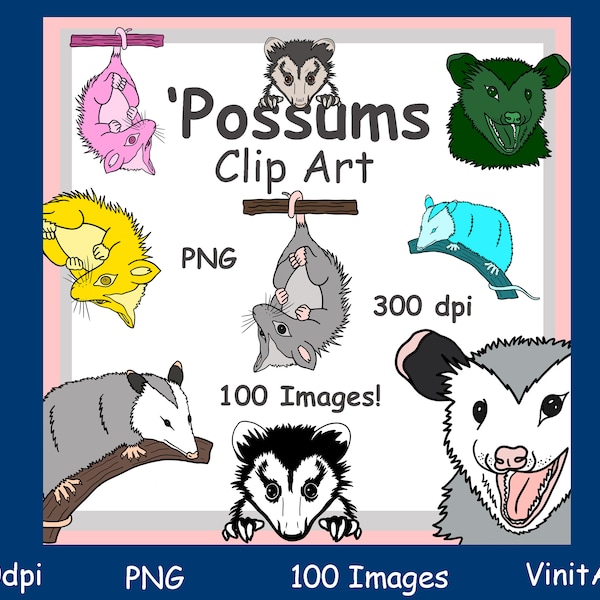 Possums clipart, Opossum, marsupial, Digital download, printable, Commercial Use