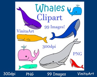 Whale clipart, 99 Images! Commercial Use, Digital download, ocean animals