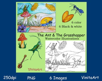 Tortoise & The Hare, Aesops fables, Clip Art, Watercolor, Illustrations, teachers, education, digital stamps