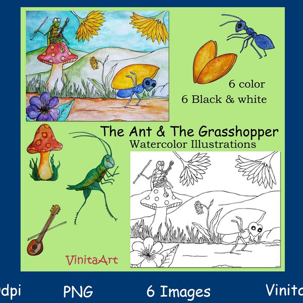 Tortoise & The Hare, Aesops fables, Clip Art, Watercolor, Illustrations, teachers, education, digital stamps
