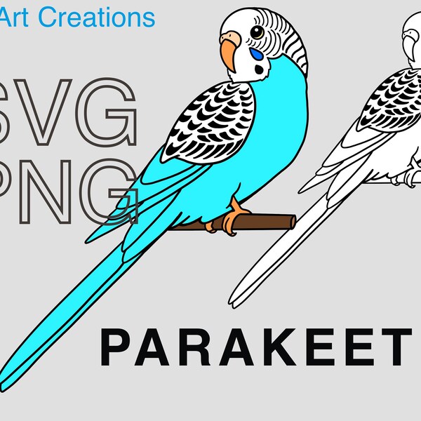 Parakeet Budgie on a Branch Clipart Instant Digital Download SVG PNG Cut Files Commercial Use