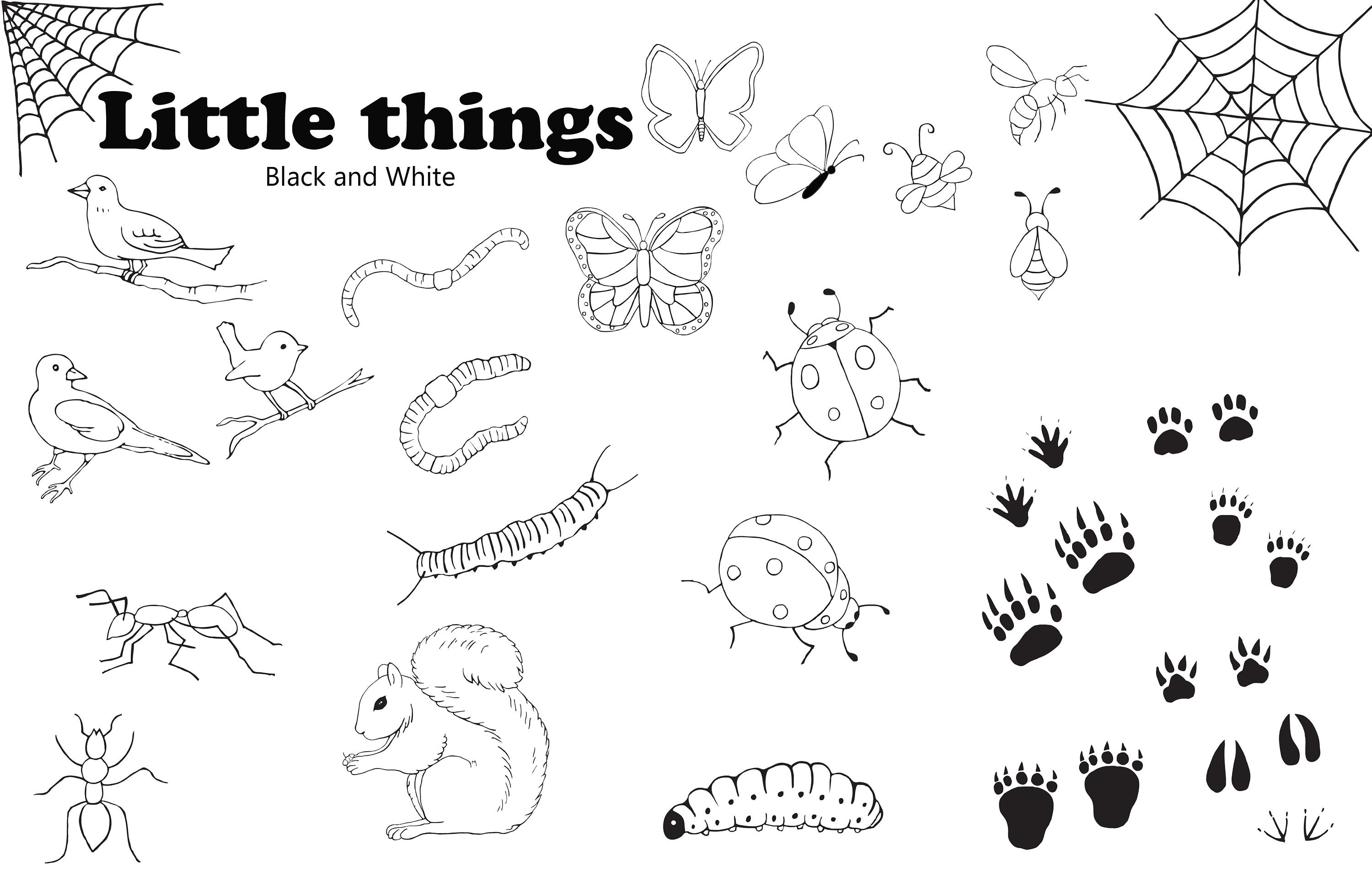 Schwarz Weiss Insekten Kafer Schmetterlinge Clipart Etsy