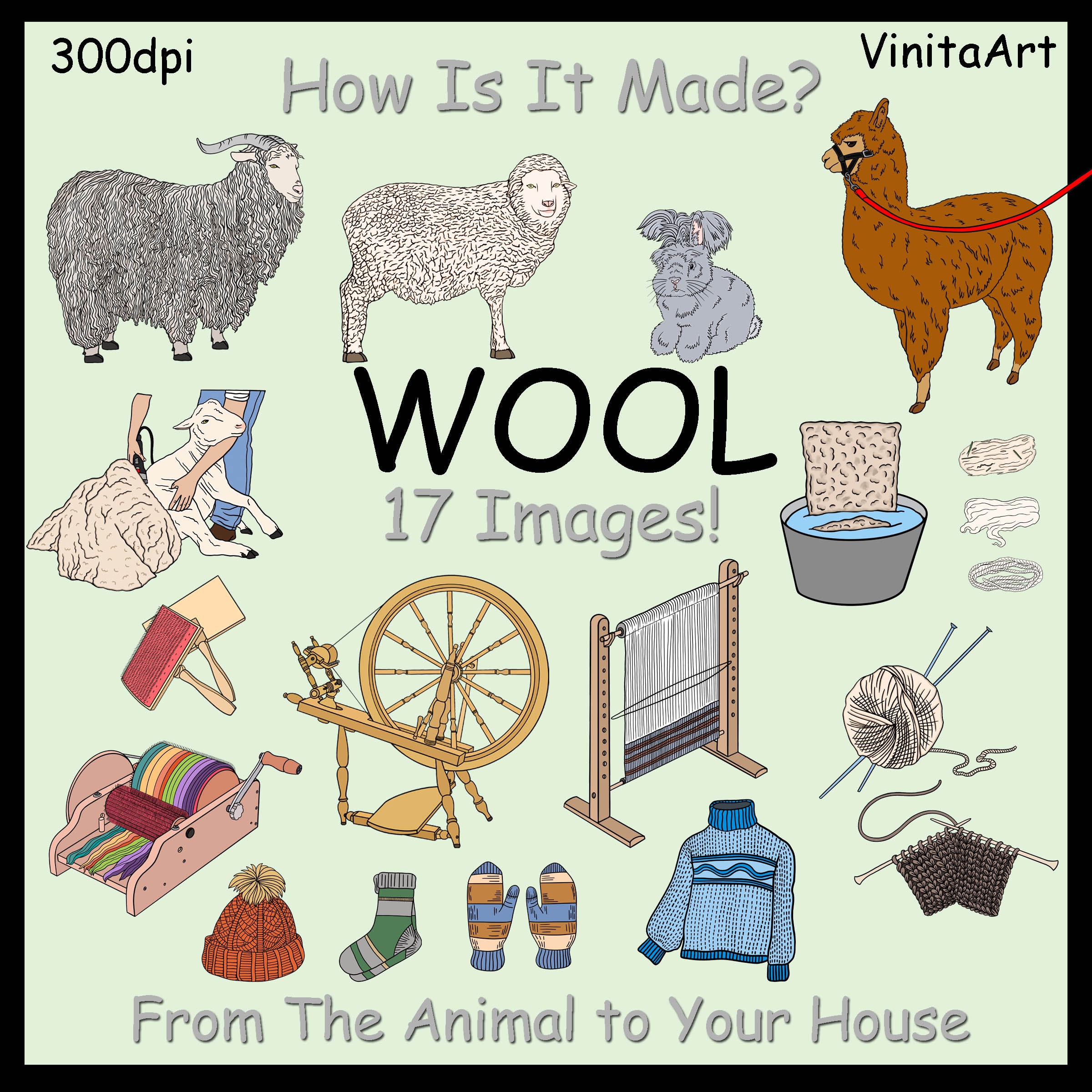 Wool Clip Art