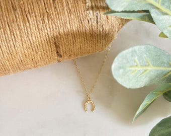 Horseshoe necklace