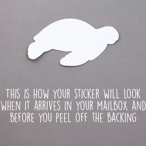 May include: A white sticker of a sea turtle on a gray background. The text "THIS IS HOW YOUR STICKER WILL LOOK WHEN IT ARRIVES IN YOUR MAILBOX AND BEFORE YOU PEEL OFF THE BACKING" is below the sticker.